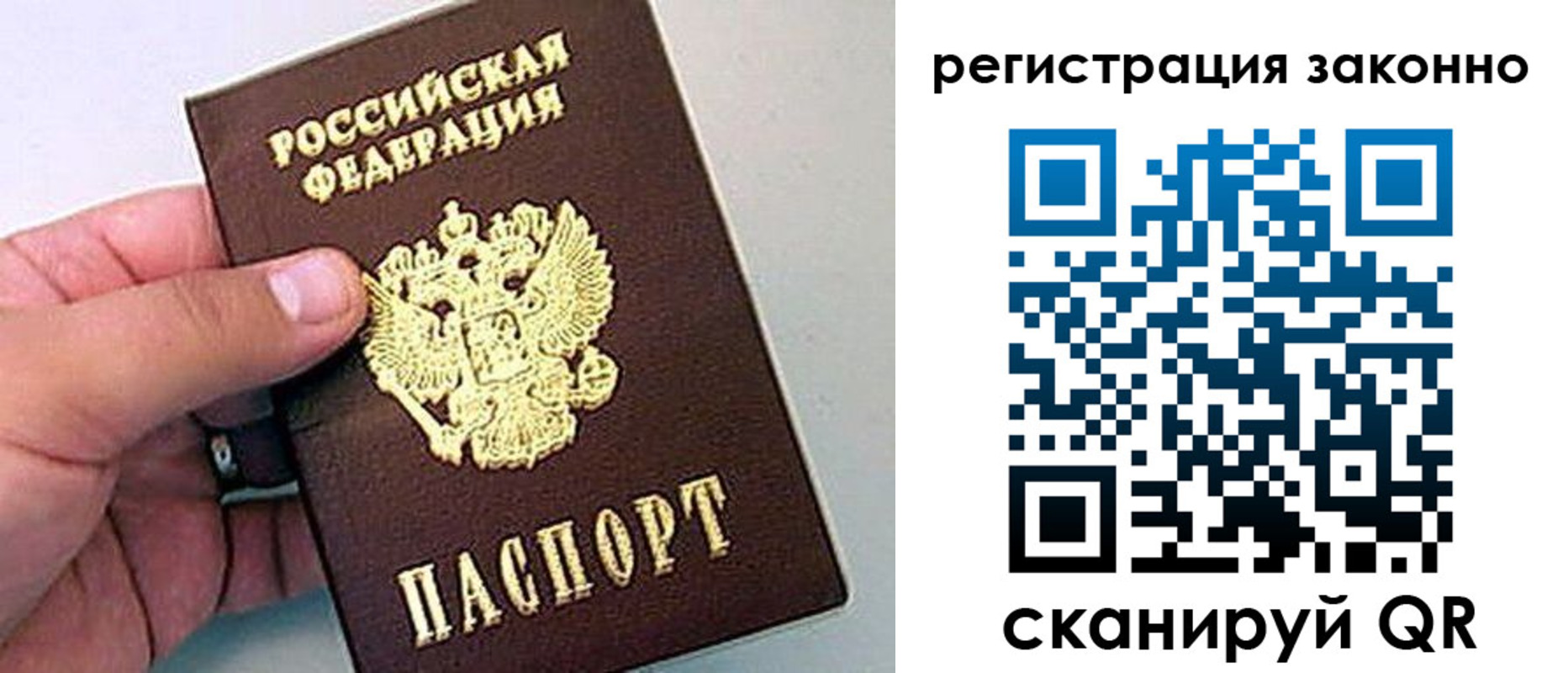 временная регистрация поиск в Мончегорске